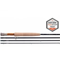 Thomas & Thomas Paradigm